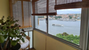 Apartamento vista Douro e Mar